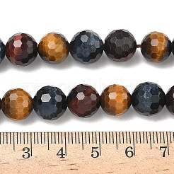 Трехцветные нити бусин из натурального тигрового глаза&nbsp;G-L642-F08-10mm