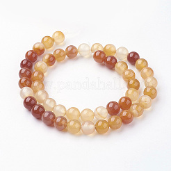 Природного сердолика нитей бисера&nbsp;G-G735-64-8mm