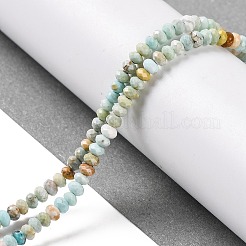 Природные Говлит бисер нитей&nbsp;G-H025-03B-06