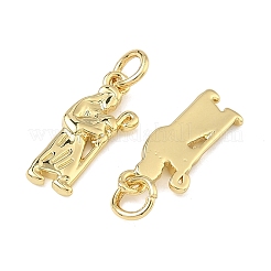 Латунные подвески&nbsp;KK-B170-21G