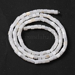 Нити бусин из натуральных пресноводных ракушек BSHE-S304-08
