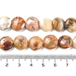 Плоские круглые пряди натуральных сумасшедших кружевных агатовых бусин&nbsp;G-S110-12mm-05