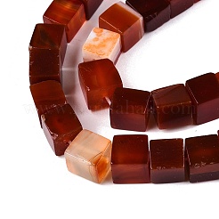 Бусины из натурального красного агата (окрашенные и нагретые)&nbsp;G-T139-8x8-35A