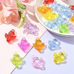 50г прозрачные акриловые подвески&nbsp;TACR-YW0001-69