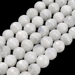 Бусины из натурального радужного лунного камня&nbsp;G-C280-B15-8mm