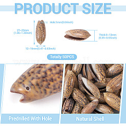 50 шт. подвески из натуральной спиральной ракушки&nbsp;SSHEL-CW0001-01