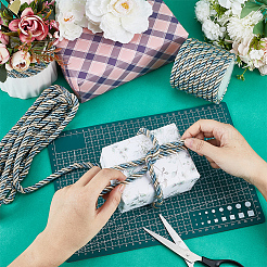 Скрученные шнуры из полиэстера&nbsp;OCOR-GF0002-31A