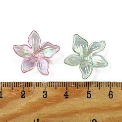 Прозрачные колпачки акриловая бисера&nbsp;OACR-O006-05