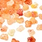 Transparent Acrylic Beads, Butterfly, Two Tone, Orange, 10x13x4mm, Hole: 1.2mm, about 1388pcs/500g