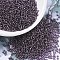 MIYUKI Round Rocailles Beads, Japanese Seed Beads, 11/0, (RR24) Silverlined Amethyst, 2x1.3mm, Hole: 0.8mm, about 50000pcs/pound