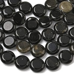 Естественный золотистый отлив обсидиан бисер пряди&nbsp;G-L648-B23-15mm-01