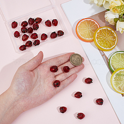 30шт ручной работы бусины лэмпворк&nbsp;LAMP-PH0001-51