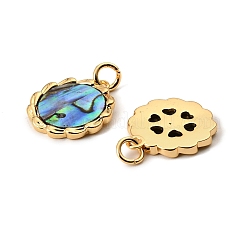 Подвески из натуральных ракушек пауа&nbsp;KK-G538-36G