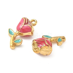 Подвески из нержавеющей стали 304 с эмалью&nbsp;STAS-I346-17G-02A