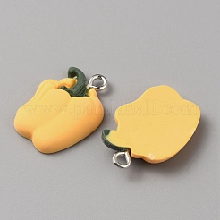 Подвески из непрозрачной смолы&nbsp;FIND-CJC0003-43P