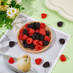 32шт 2 цвета ПВХ пластик имитация малиновый&nbsp;AJEW-ME0001-67