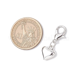 Подвесные украшения из сплава 5 шт. HJEW-JM03191