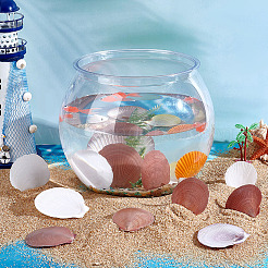 40 шт. натуральная ракушка для украшения аквариума&nbsp;SHEL-PH0001-68