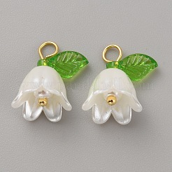 Акриловые подвески&nbsp;KY-TAC0009-03B