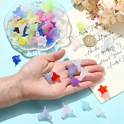 400шт 2 стиля прозрачные акриловые бусины&nbsp;FACR-YW0001-11