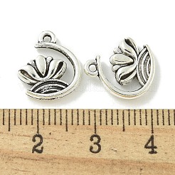 Сплавочные подвески тибетского стиля&nbsp;LS-TIBE-I026-6025AS