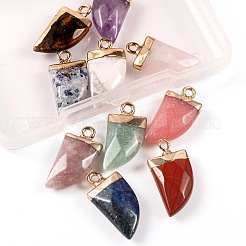 10 шт. 10 стиля подвески из натуральных драгоценных камней&nbsp;G-LS0002-14