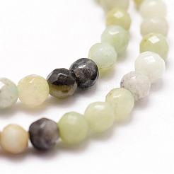 Натуральный цветок амазонитовые бусины пряди&nbsp;G-D840-24-4mm