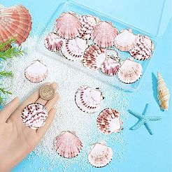 30 шт. подвески из морских ракушек с гальваническим покрытием&nbsp;SSHEL-SC0001-27