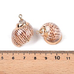 Подвески из натуральной морской раковины&nbsp;SSHEL-N038-49