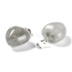 Природные подвески лабрадорита&nbsp;G-I311-A03