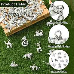 60шт 12 стиля подвески из сплава в тибетском стиле&nbsp;TIBE-CJ0001-36