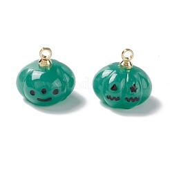 Подвески из непрозрачной смолы на Хэллоуин&nbsp;RESI-E018-01A