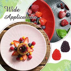 32шт 2 цвета ПВХ пластик имитация малиновый&nbsp;AJEW-ME0001-67