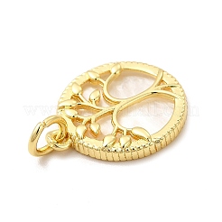 Стеллаж гальванический латунный с пластиковыми подвесками&nbsp;KK-G459-01G