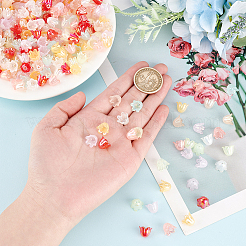 560 шт. 8-цветные 6-лепестковые акриловые колпачки для бусин с имитацией желе&nbsp;OACR-DC0001-05