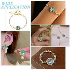 12 шт. кабошоны из натуральной ракушки пауа&nbsp;FIND-WR0011-79A