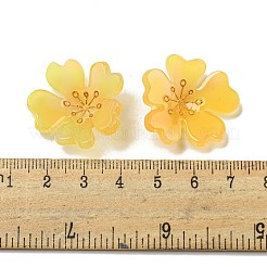 Подвески из ацетата целлюлозы (смолы)&nbsp;MACR-M046-06