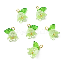 Акриловые подвески&nbsp;LS-OACR-D012-01E