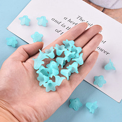 Прозрачные акриловые бусины&nbsp;PLF018-13