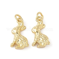 Латунные подвески&nbsp;KK-L245-03G-01