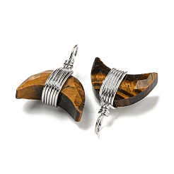 Подвески из медной проволоки из натурального смешанного камня&nbsp;G-B079-01P