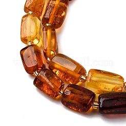Нити бусин из натурального янтаря градиентного цвета&nbsp;G-F803-D01-04