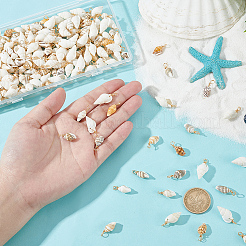 100 шт. подвески из натуральной ракушки&nbsp;PALLOY-HY00048