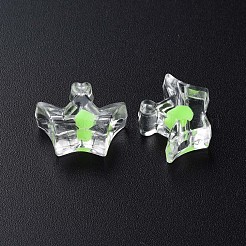 Прозрачные акриловые бусины&nbsp;MACR-S373-105-B06