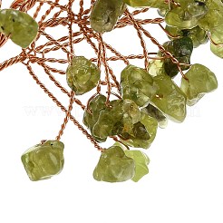 Натуральные чипсы перидота&nbsp;DJEW-C016-02I