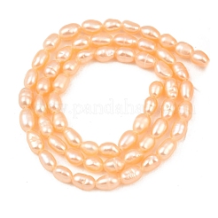 Нити из натурального культивированного пресноводного жемчуга&nbsp;PEAR-F020-26B