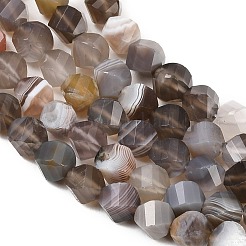Природные Ботсвана агат бисер нитей&nbsp;G-P611-C08-01
