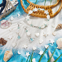 Бусины из натуральных пресноводных ракушек SHEL-BC0001-009