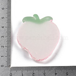 Украшение для витрины из светящейся смолы в виде кусочков фруктов&nbsp;DJEW-B014-04