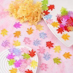 Прозрачные акриловые подвески&nbsp;PL711Y